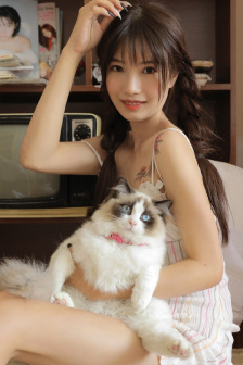 高质量的车文
